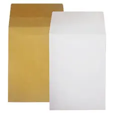 Envelope (Brown and White)