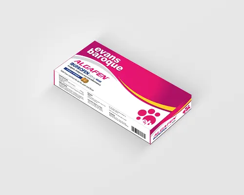 [INT_Drugs_564] Algafen 200mg Tablets x 10